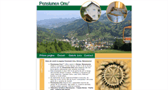 Desktop Screenshot of pensiuneaonu.eborsa.ro