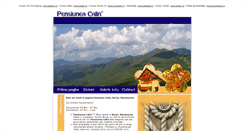 Desktop Screenshot of pensiuneacalin.eborsa.ro